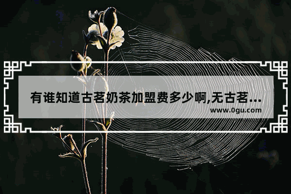 有谁知道古茗奶茶加盟费多少啊,无古茗奶茶加盟费