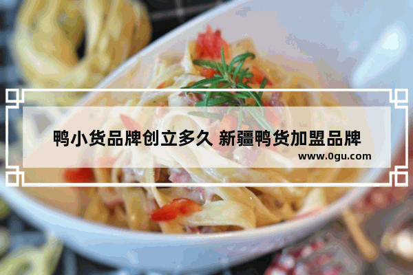 鸭小货品牌创立多久 新疆鸭货加盟品牌