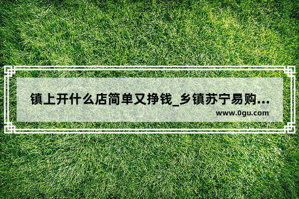 镇上开什么店简单又挣钱_乡镇苏宁易购实体店怎么样