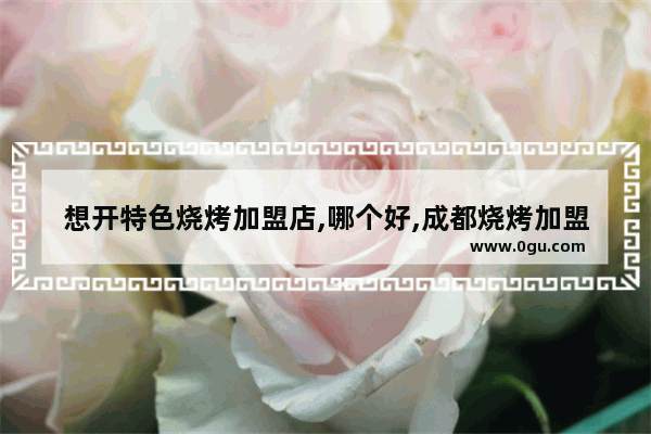 想开特色烧烤加盟店,哪个好,成都烧烤加盟