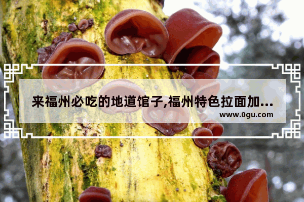 来福州必吃的地道馆子,福州特色拉面加盟店排行榜