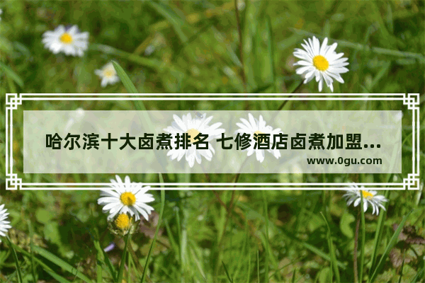 哈尔滨十大卤煮排名 七修酒店卤煮加盟费多少