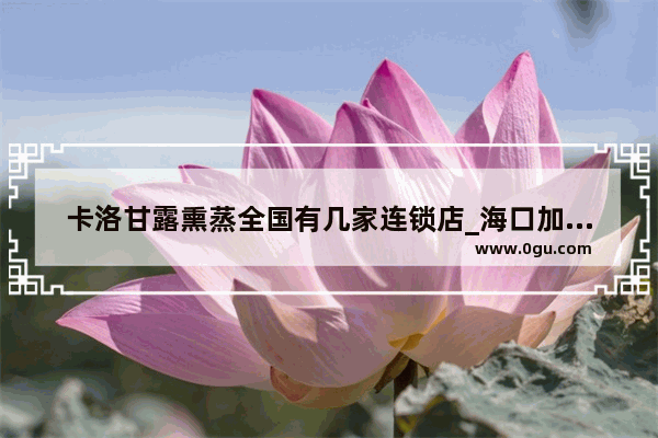 卡洛甘露熏蒸全国有几家连锁店_海口加入菜篮子去哪里申请