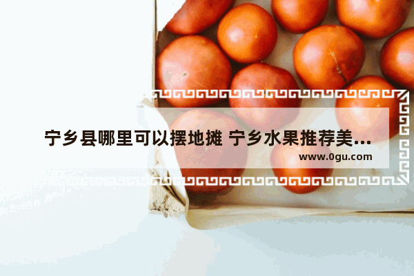 宁乡县哪里可以摆地摊 宁乡水果推荐美食加盟店