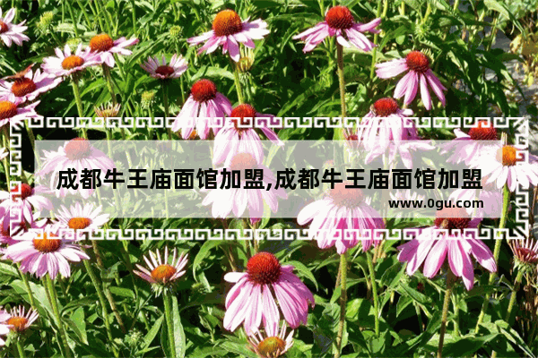 成都牛王庙面馆加盟,成都牛王庙面馆加盟