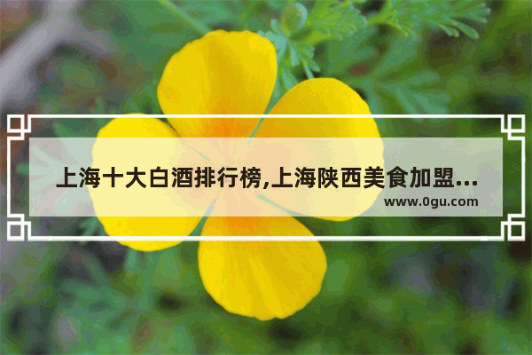 上海十大白酒排行榜,上海陕西美食加盟店排名