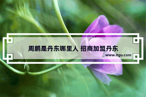 周鹏是丹东哪里人 招商加盟丹东