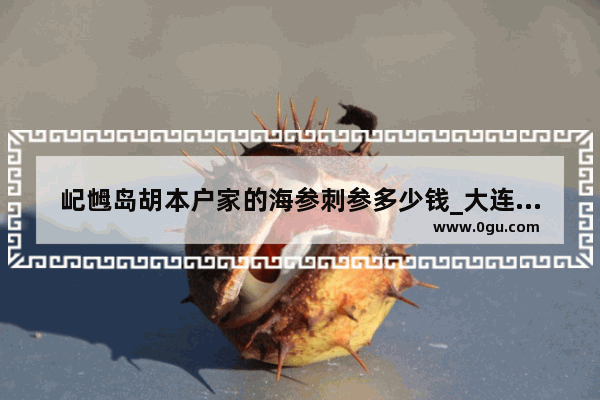 屺乸岛胡本户家的海参刺参多少钱_大连环岛食品集团怎么样