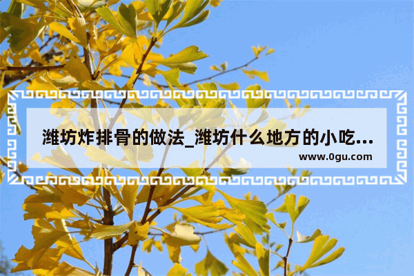 潍坊炸排骨的做法_潍坊什么地方的小吃好吃不贵