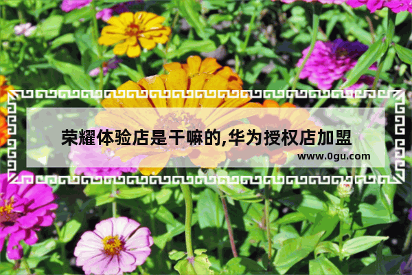 荣耀体验店是干嘛的,华为授权店加盟
