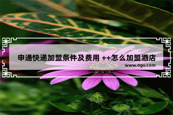 申通快递加盟条件及费用 ++怎么加盟酒店用品店