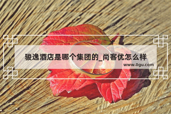 骏逸酒店是哪个集团的_尚客优怎么样