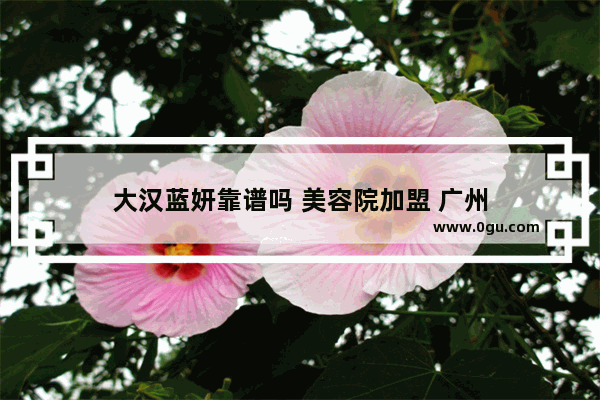 大汉蓝妍靠谱吗 美容院加盟 广州
