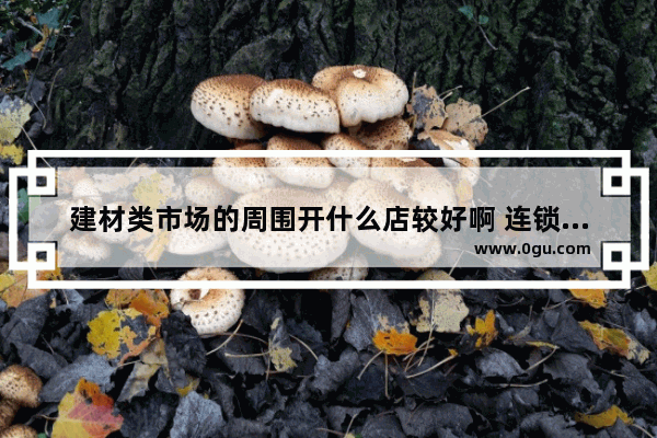建材类市场的周围开什么店较好啊 连锁建材加盟店排行榜