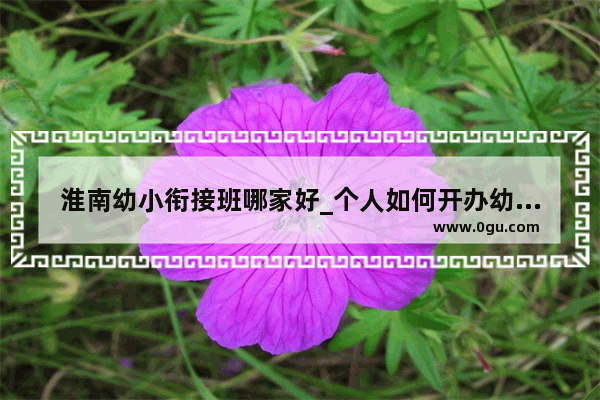 淮南幼小衔接班哪家好_个人如何开办幼小衔接班