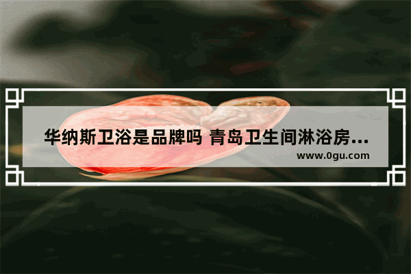 华纳斯卫浴是品牌吗 青岛卫生间淋浴房加盟品牌