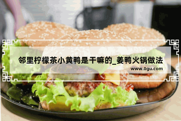 邻里柠檬茶小黄鸭是干嘛的_姜鸭火锅做法