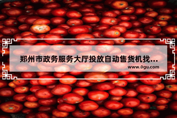 郑州市政务服务大厅投放自动售货机找哪个部门_河南酒店售货机加盟哪家好