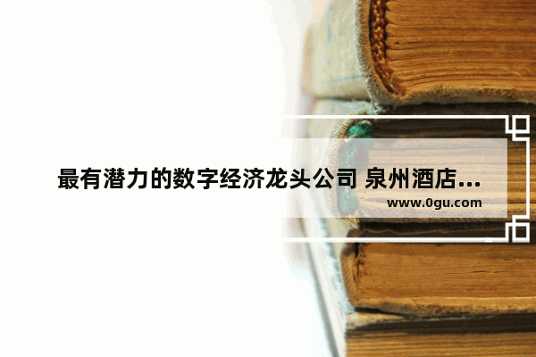 最有潜力的数字经济龙头公司 泉州酒店售货机加盟