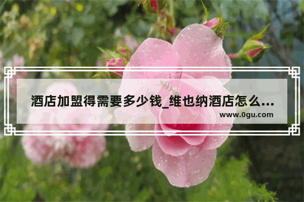 酒店加盟得需要多少钱_维也纳酒店怎么样啊？加盟维也纳酒店能够赚钱吗