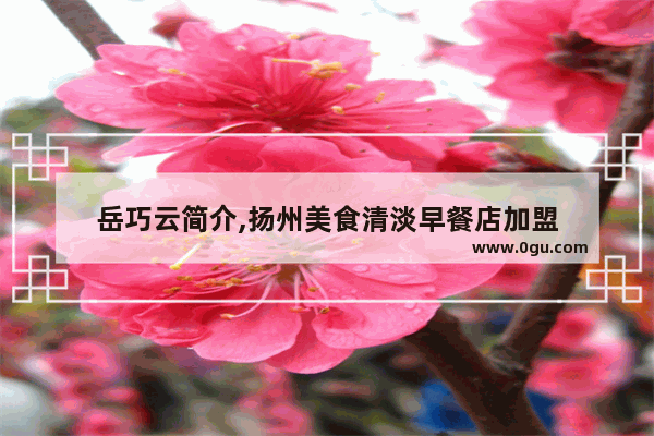 岳巧云简介,扬州美食清淡早餐店加盟