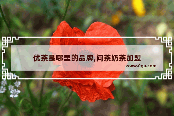 优茶是哪里的品牌,问茶奶茶加盟
