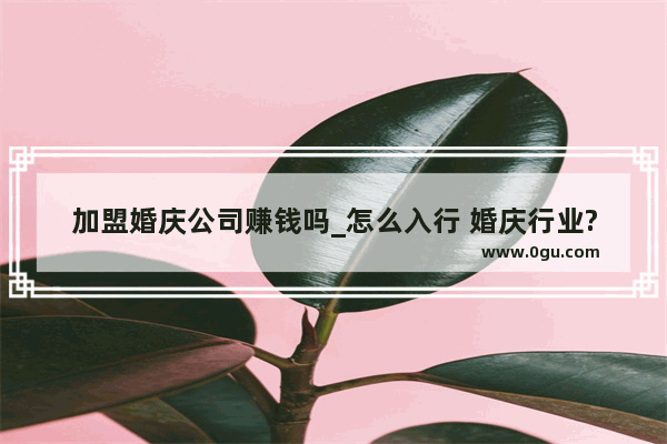加盟婚庆公司赚钱吗_怎么入行 婚庆行业?婚庆行业?如果有在业人员希望能开导我一下。真的谢谢您