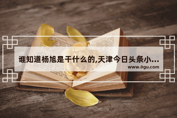 谁知道杨旭是干什么的,天津今日头条小吃餐馆加盟