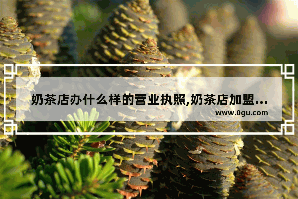 奶茶店办什么样的营业执照,奶茶店加盟个体营业执照