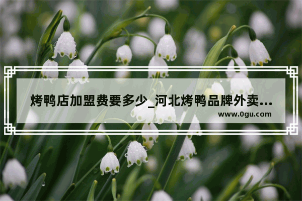 烤鸭店加盟费要多少_河北烤鸭品牌外卖加盟费