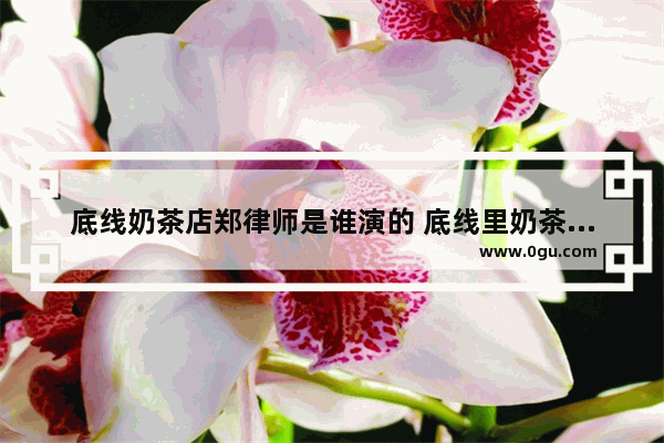 底线奶茶店郑律师是谁演的 底线里奶茶加盟案原型