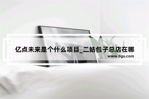 亿点未来是个什么项目_二姑包子总店在哪