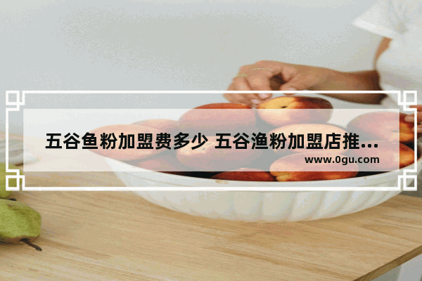 五谷鱼粉加盟费多少 五谷渔粉加盟店推荐信息