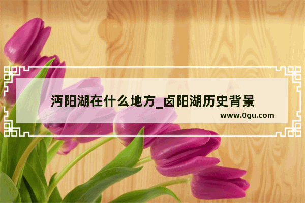 沔阳湖在什么地方_卤阳湖历史背景