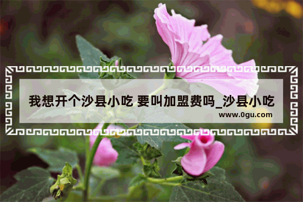我想开个沙县小吃 要叫加盟费吗_沙县小吃授权书怎么弄
