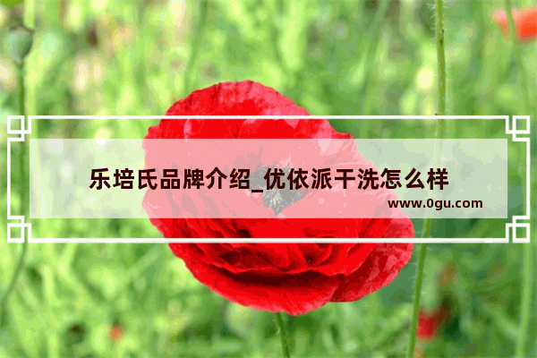 乐培氏品牌介绍_优依派干洗怎么样