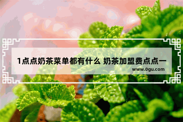 1点点奶茶菜单都有什么 奶茶加盟费点点一