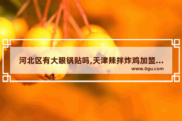 河北区有大眼锅贴吗,天津辣拌炸鸡加盟店排行榜
