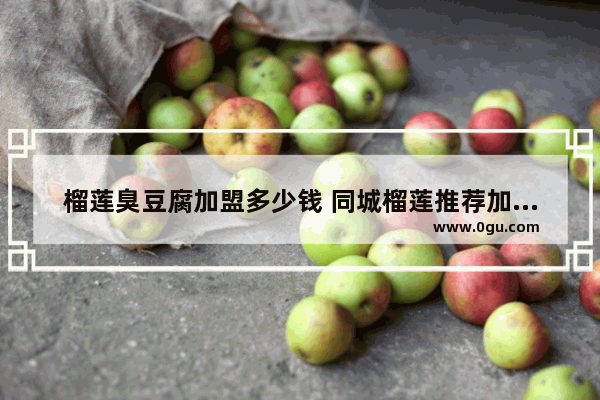 榴莲臭豆腐加盟多少钱 同城榴莲推荐加盟店