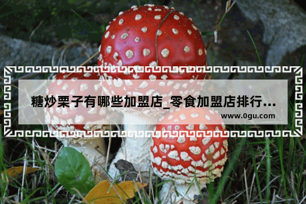 糖炒栗子有哪些加盟店_零食加盟店排行榜十大品牌