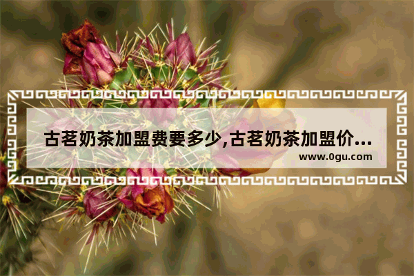 古茗奶茶加盟费要多少,古茗奶茶加盟价格多少合适
