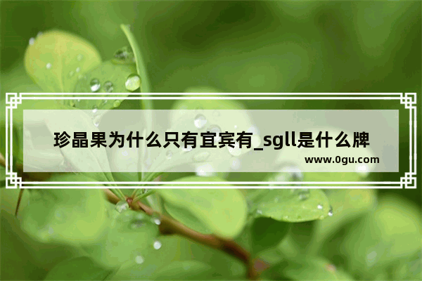 珍晶果为什么只有宜宾有_sgll是什么牌子衣服