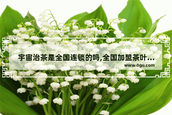 宇宙治茶是全国连锁的吗,全国加盟茶叶品牌