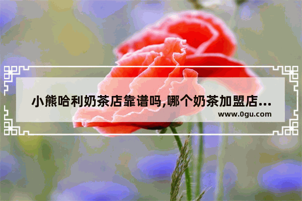 小熊哈利奶茶店靠谱吗,哪个奶茶加盟店可靠点
