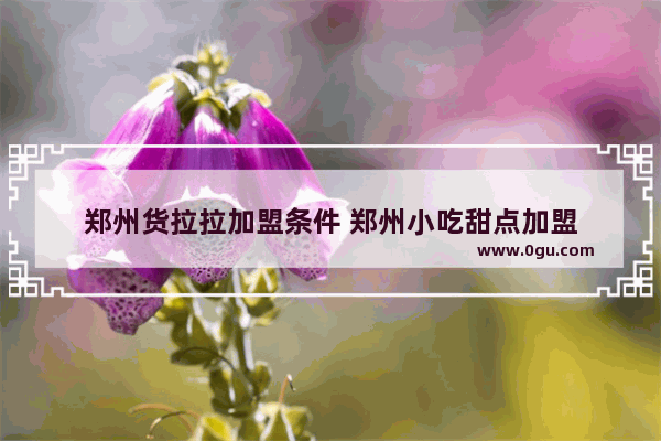 郑州货拉拉加盟条件 郑州小吃甜点加盟