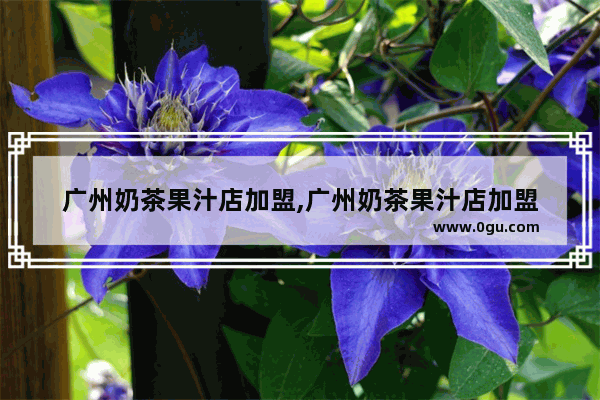 广州奶茶果汁店加盟,广州奶茶果汁店加盟