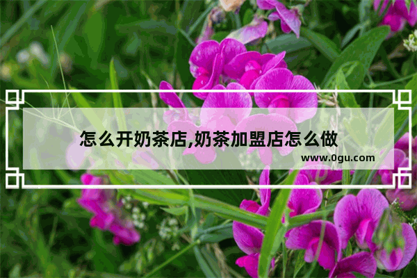 怎么开奶茶店,奶茶加盟店怎么做