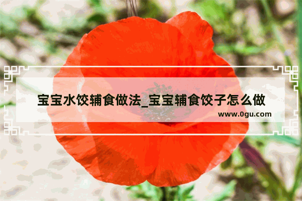 宝宝水饺辅食做法_宝宝辅食饺子怎么做