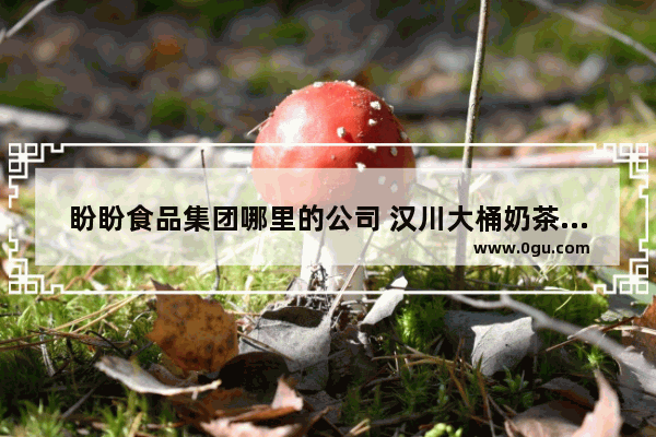 盼盼食品集团哪里的公司 汉川大桶奶茶在哪里加盟