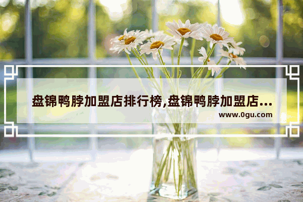 盘锦鸭脖加盟店排行榜,盘锦鸭脖加盟店排行榜